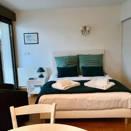 Appartement Les Libellules Accès Direct Au By Locationlacannecy, Lla Selections *